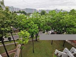 Blk 534 Bedok North Street 3 (Bedok), HDB 3 Rooms #233848081